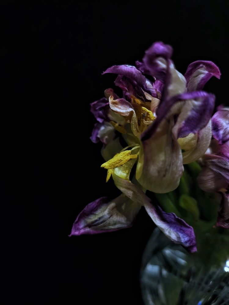 Photograph by Анна Кош
