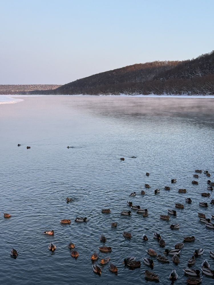 Photograph by Ольга Карева