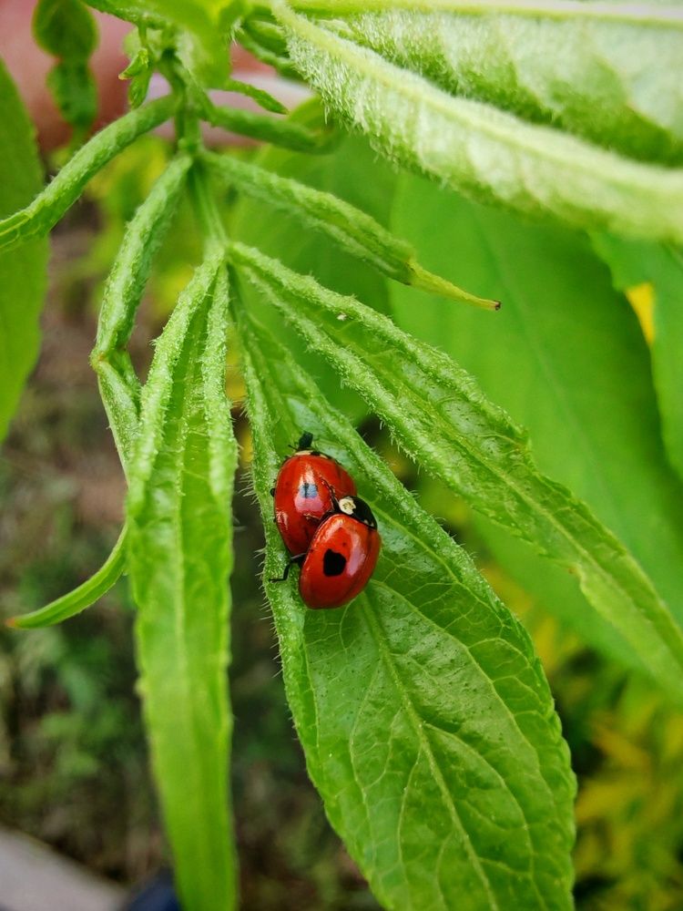 Photograph by Анастасия
