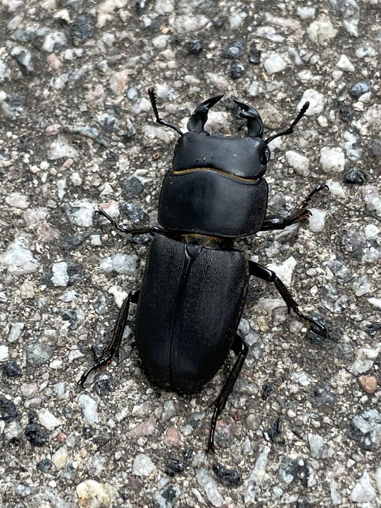 Photograph by Uliana Shichkova