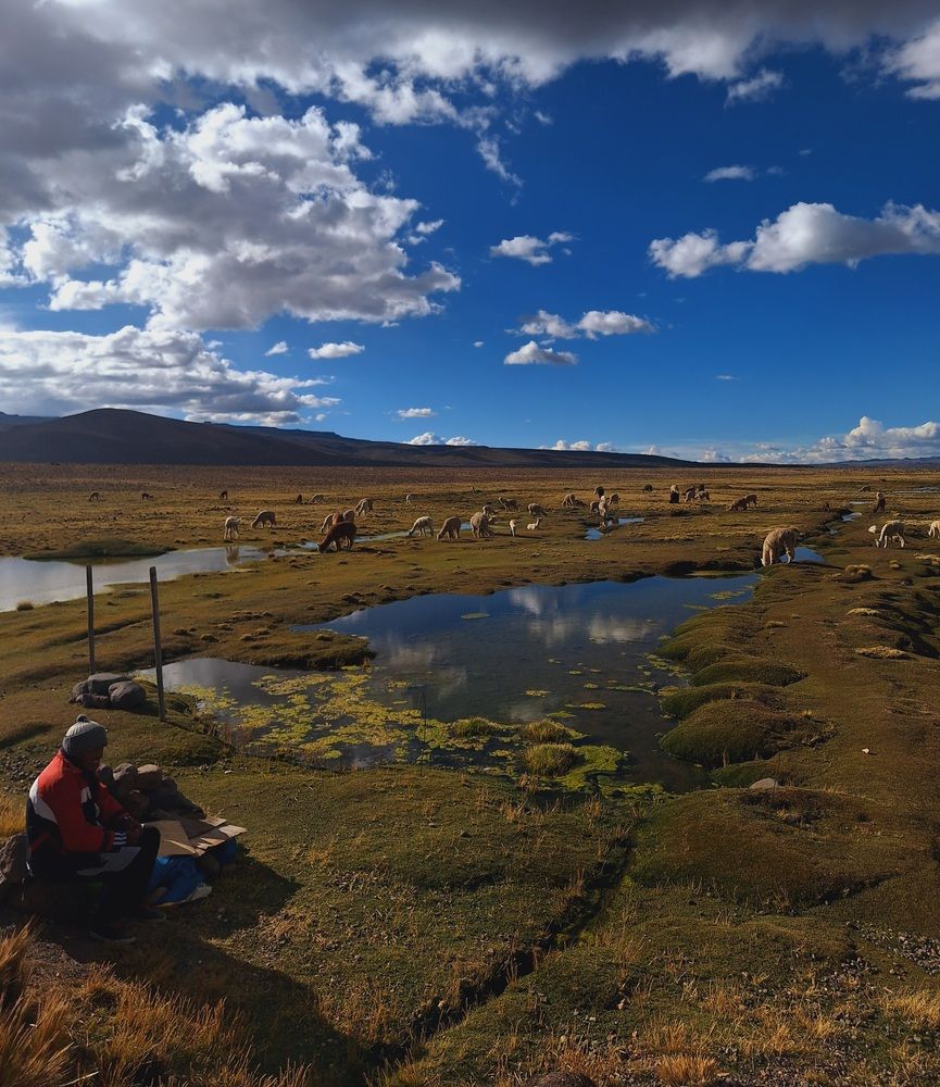 Photograph by Diego Cesar Monroy Chaparro