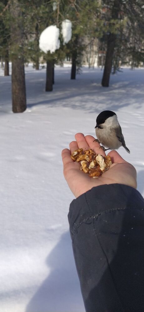 Photograph by Анастасия