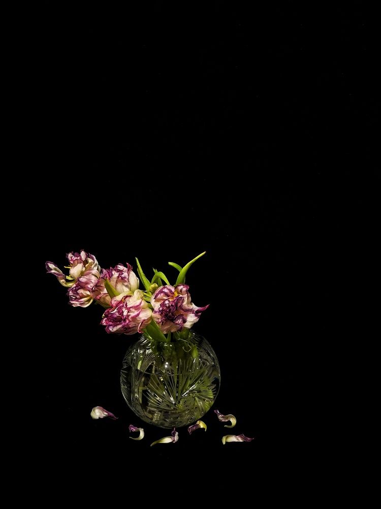 Photograph by Анна Кош