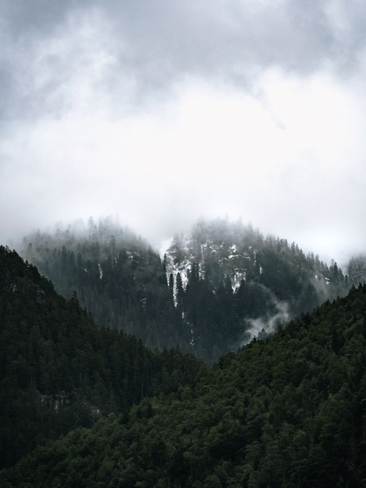 Photograph by Alina Orlova