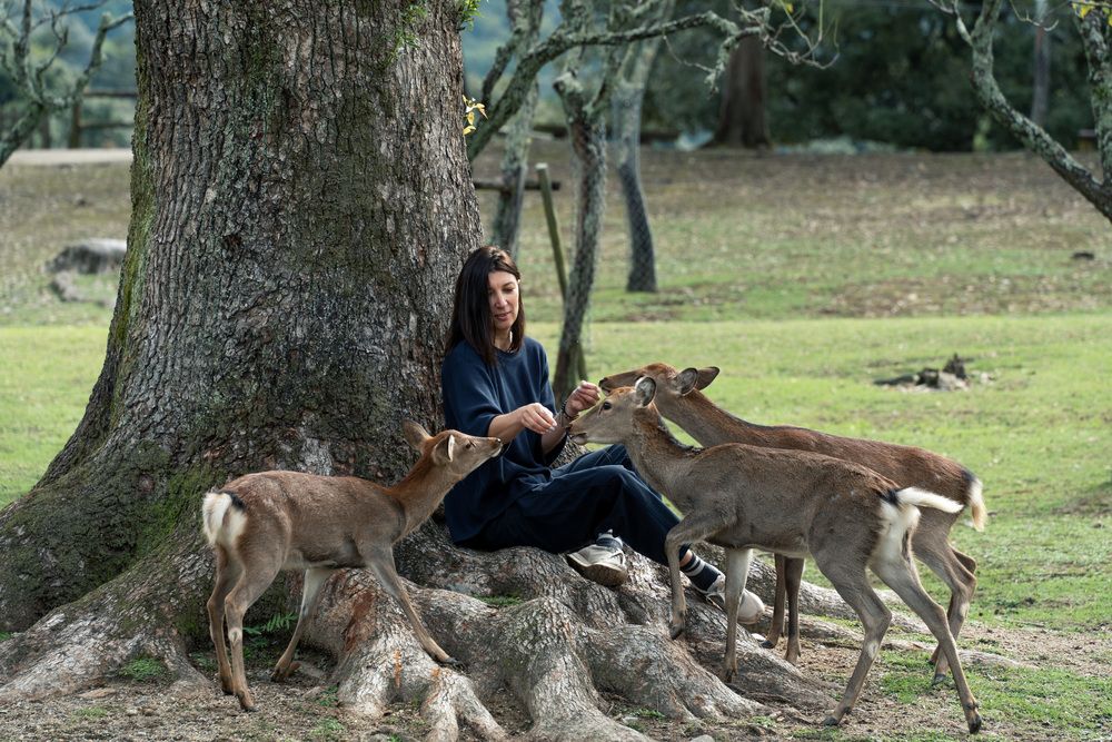 Фотография автора Светлана Зимина
