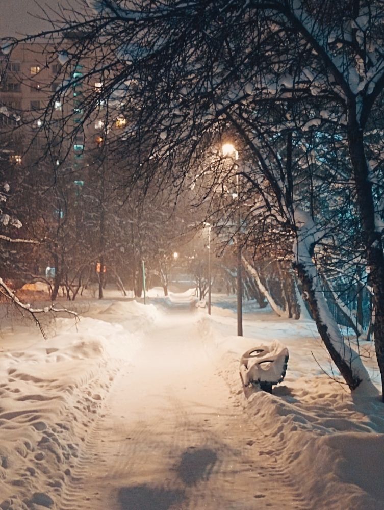 Photograph by Людмила Куприянова