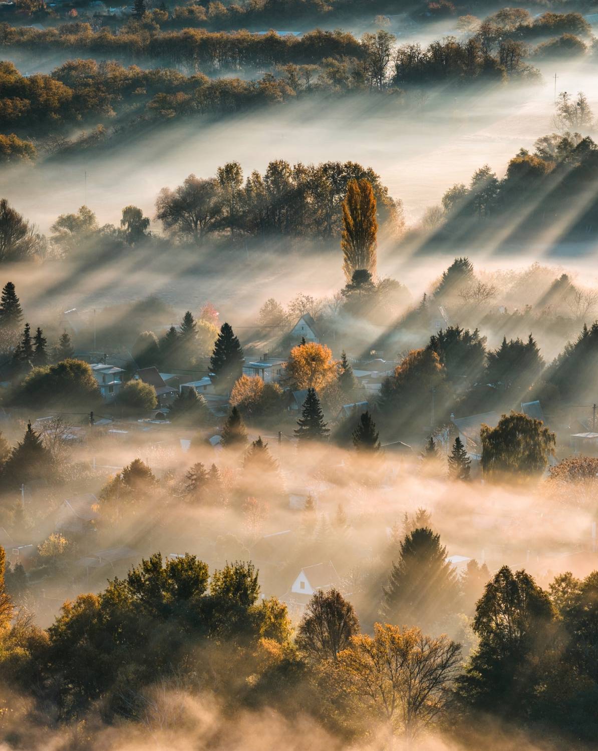 Sunrays