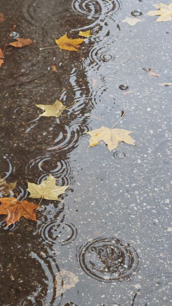 Photograph by Анастасия