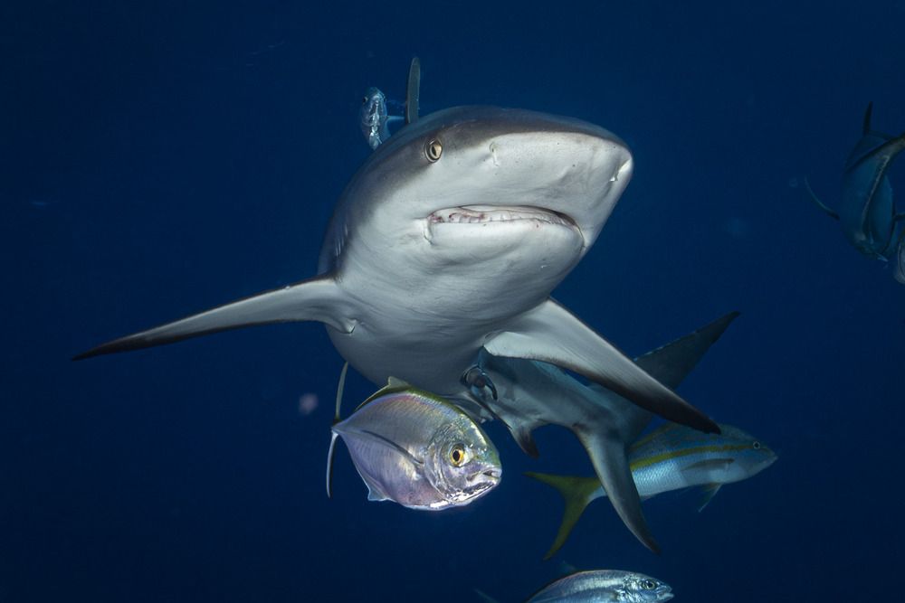 Photograph by Gabriel Vieira Costa