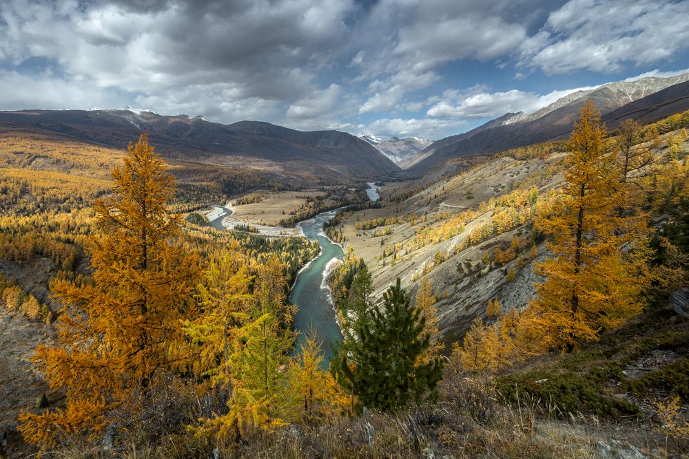 Photograph by Mark Devender