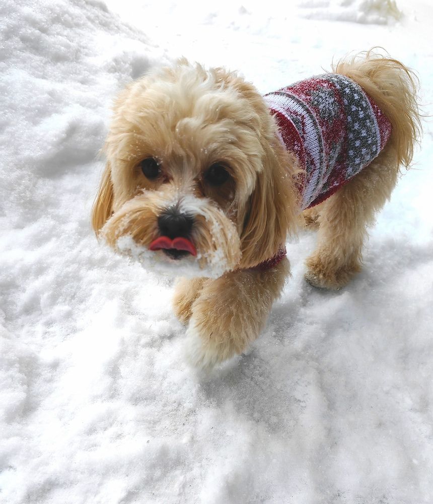 Photograph by Алёна С-К