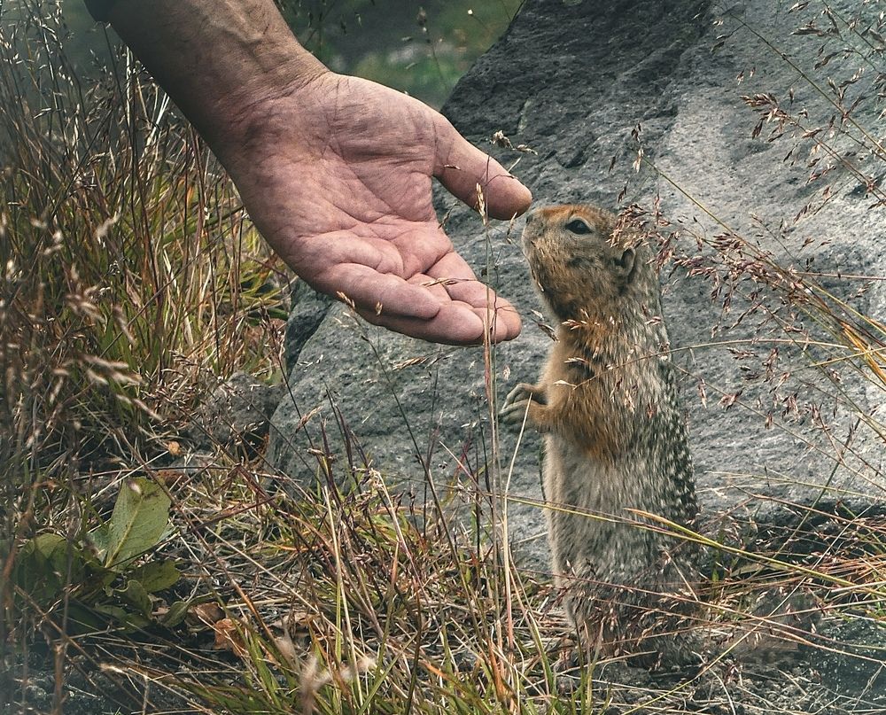 Photograph by Мария Петровцева
