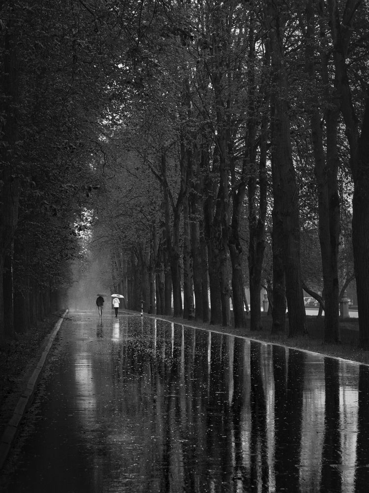 Photograph by Артем Явтушенко