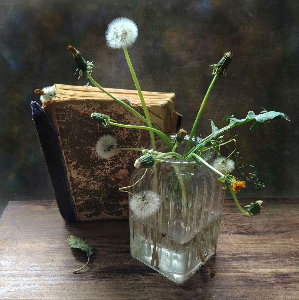 Photograph by Ирина Курмалеева