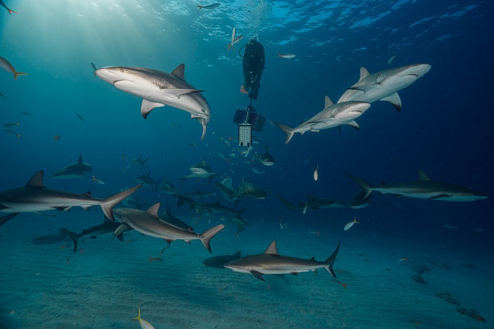 Photograph by Gabriel Vieira Costa