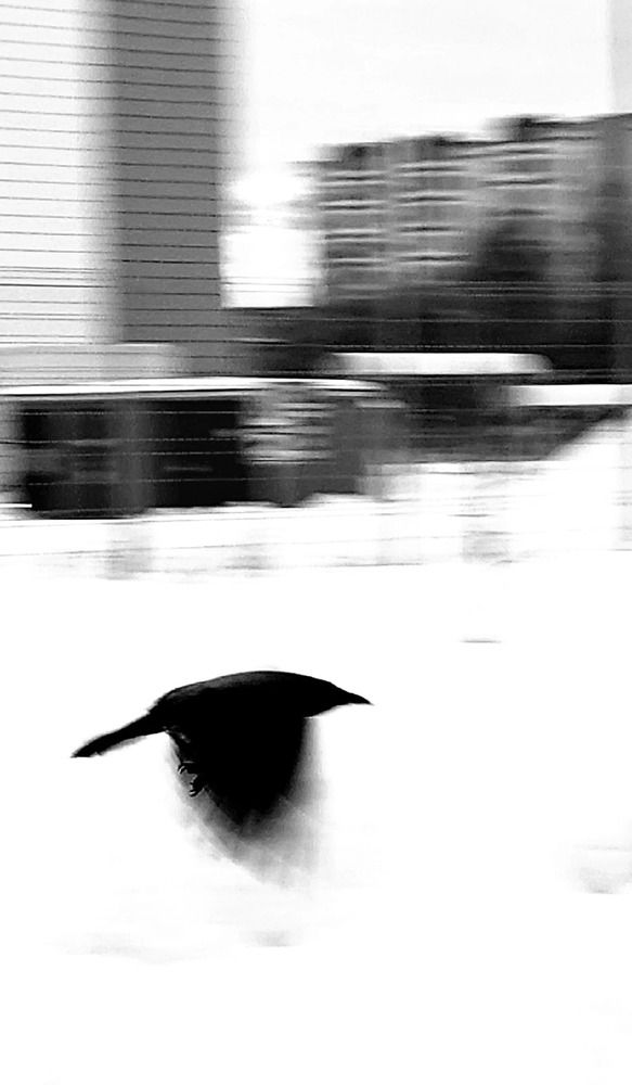 Photograph by Светлана Чуйко