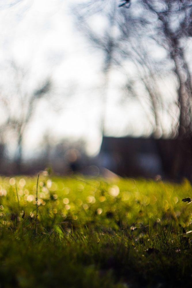 Photo #13319097