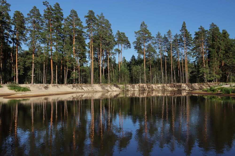 Photograph by Елена