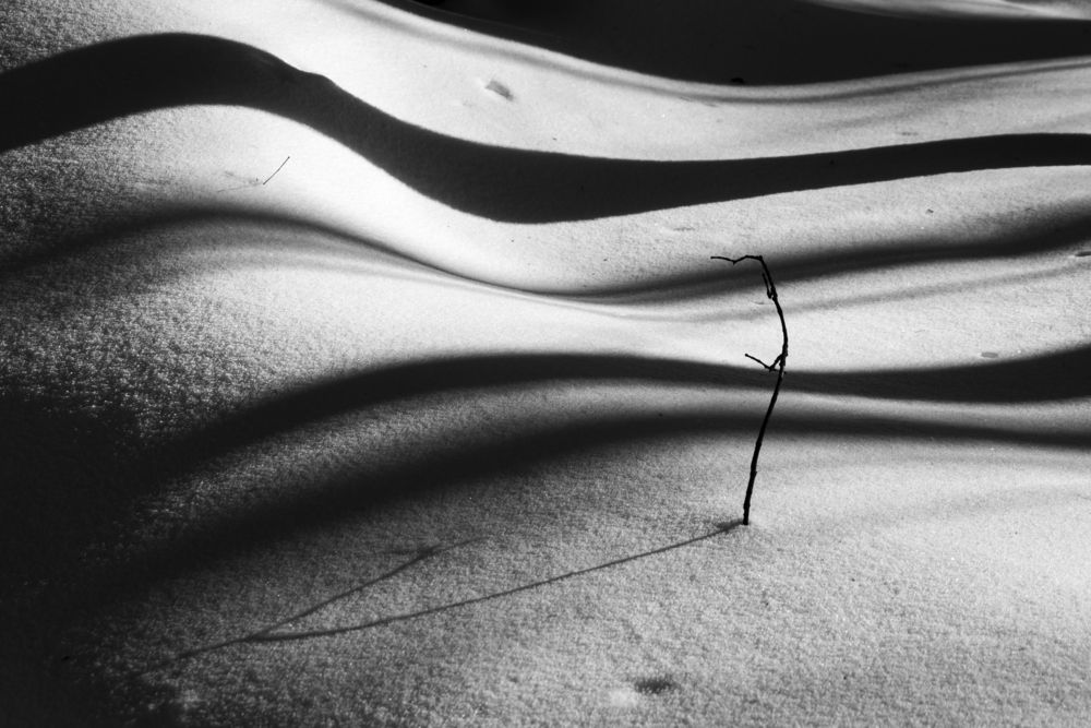 Photograph by Сусанна Галоян