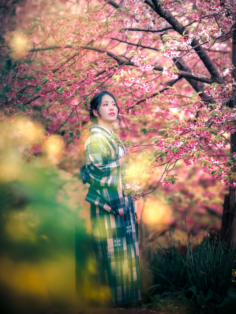 Blossoms and Crimson