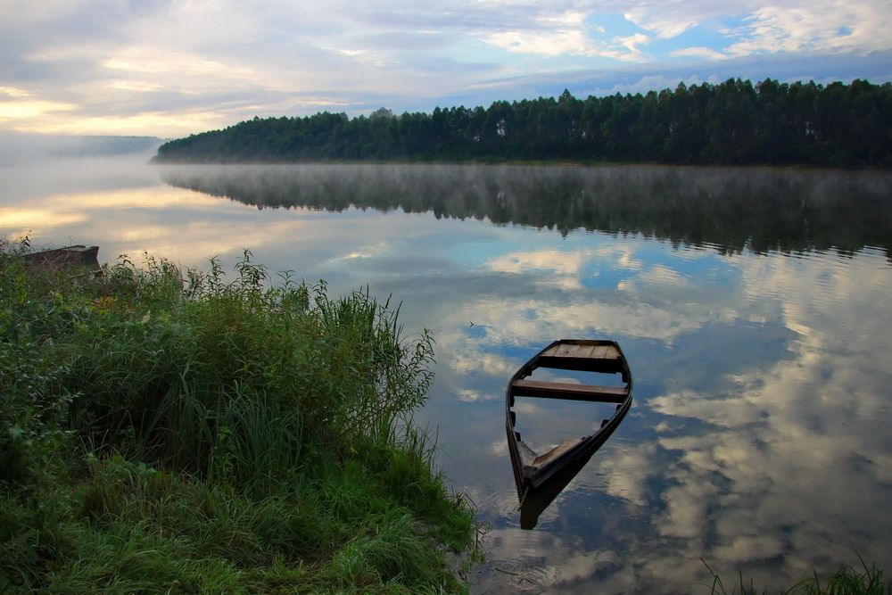 Photograph by Елена