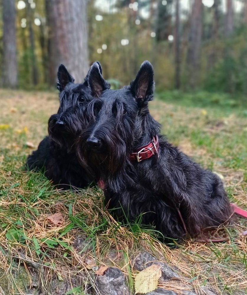 Photograph by Елена Фролова