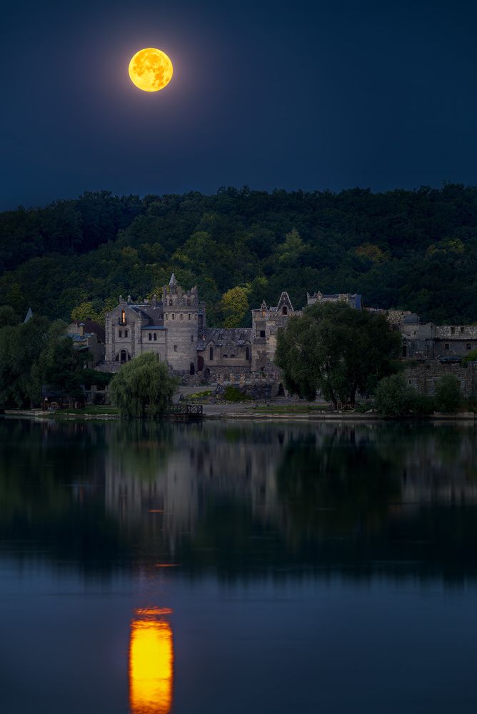 Фотография автора Бурда Юрий