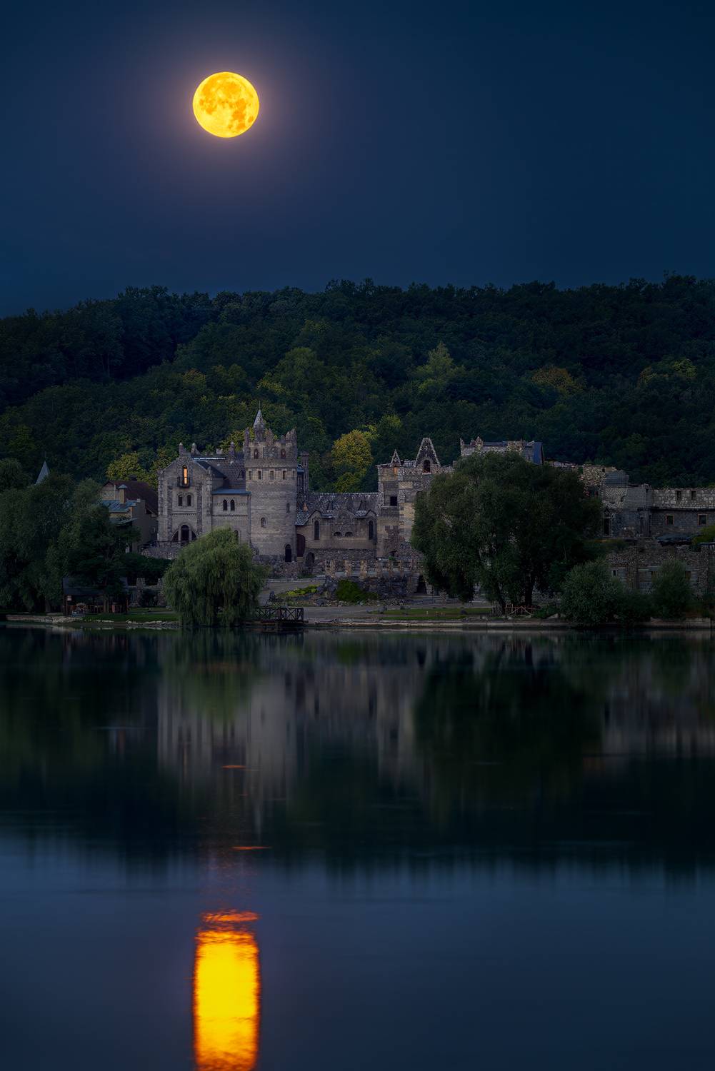 Фотография #13319264