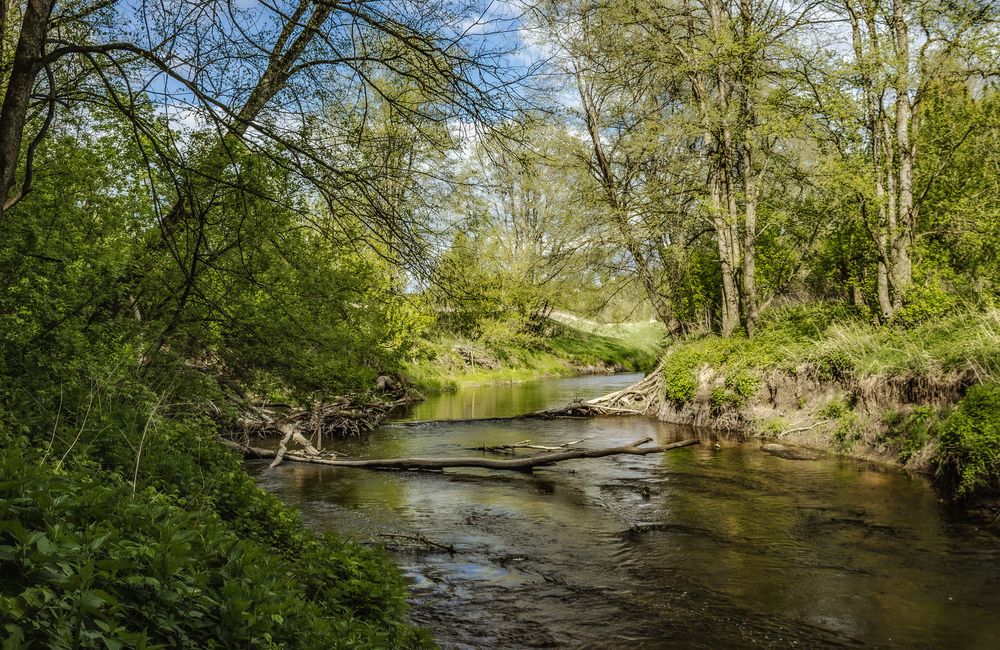 Photograph by Alexandra Chalova