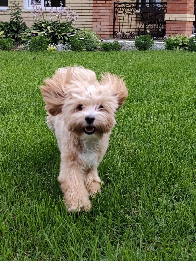 Photograph by Алёна С-К