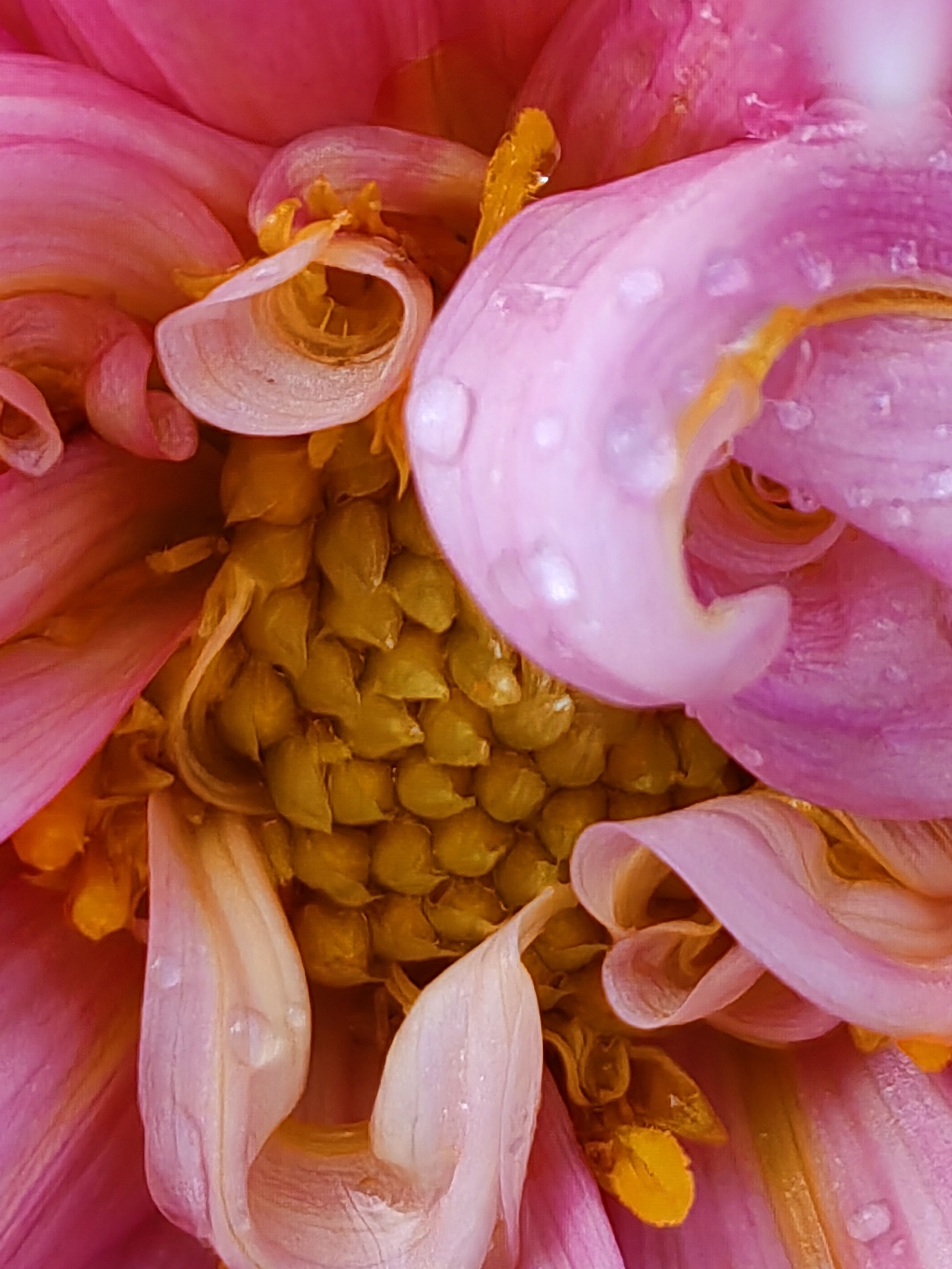 Photograph by Алёна С-К