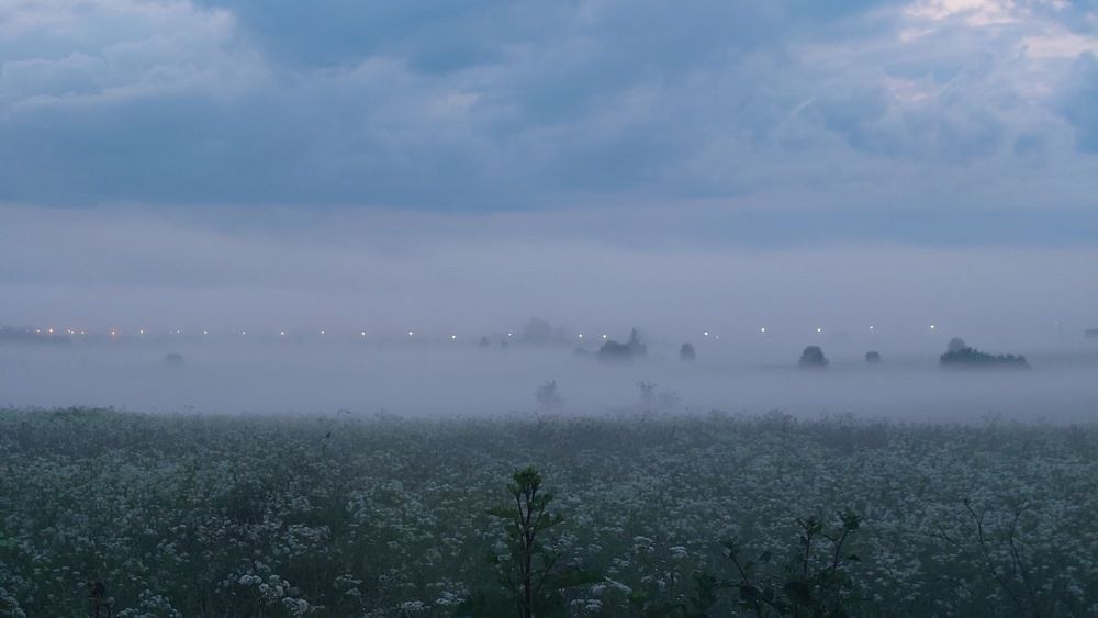 На заре