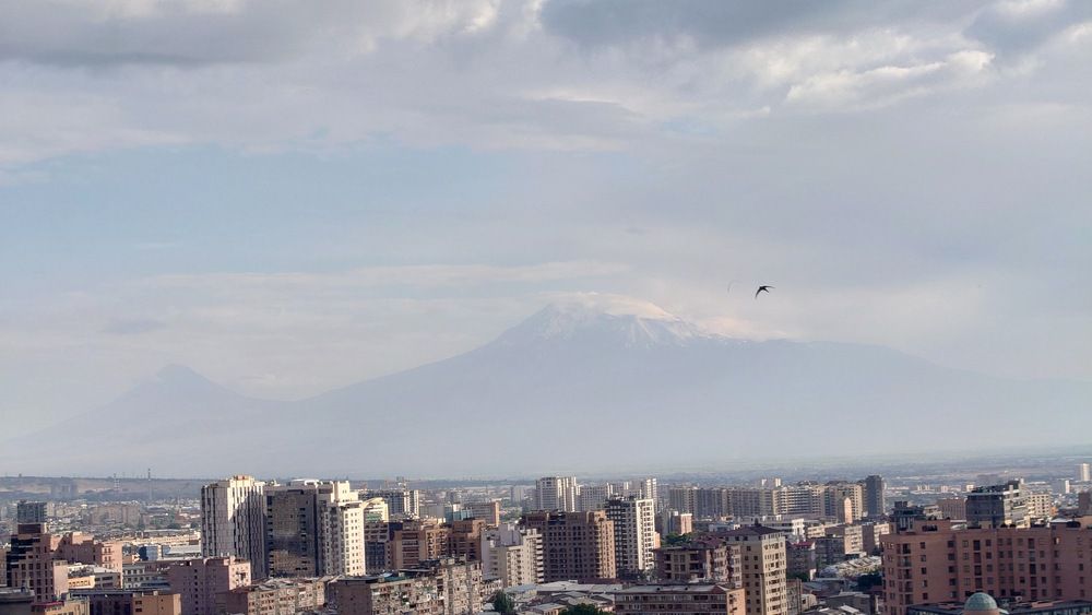 Арарат