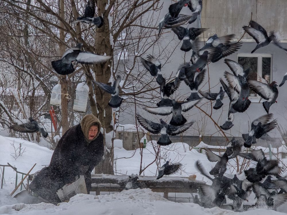 Photograph by Галина Суровицкая