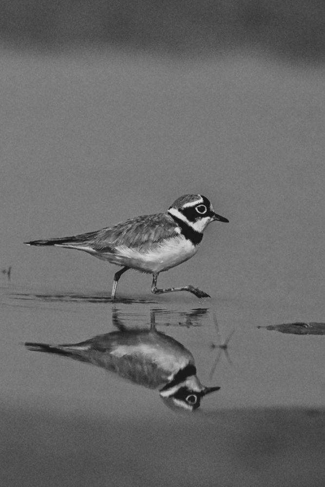 Photograph by SRIMANTA RAY