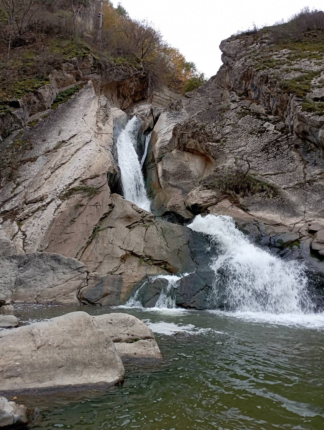 Фотография #13319502