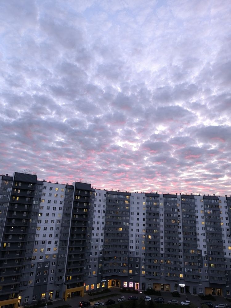 Photo #13319522