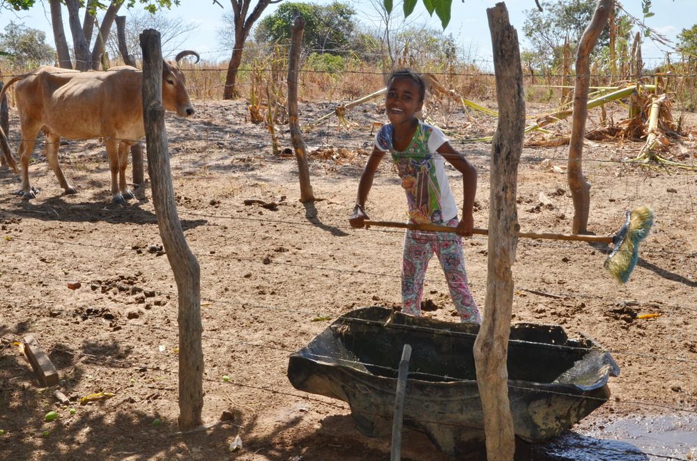 Photograph by Marzio Fattorini