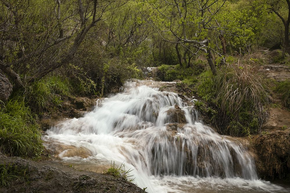 Photograph by Esmaeil rashedi