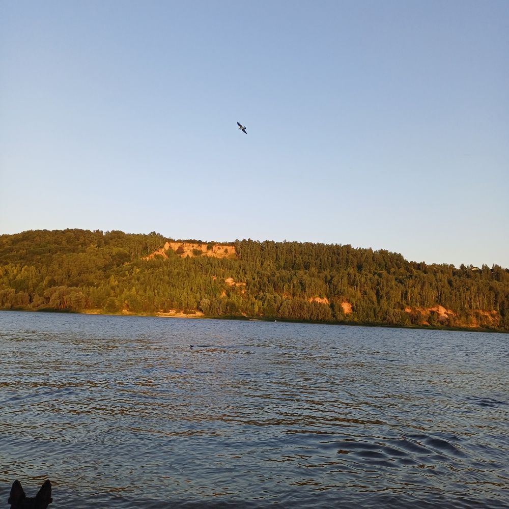 Photograph by Елена Фролова