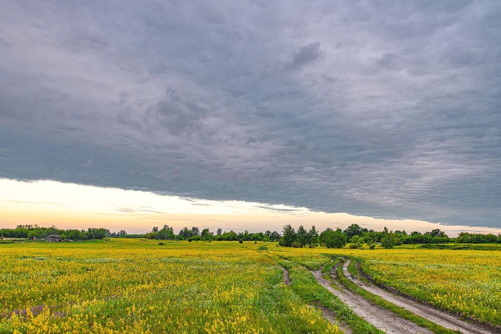 Photograph by Алексей Сиваков