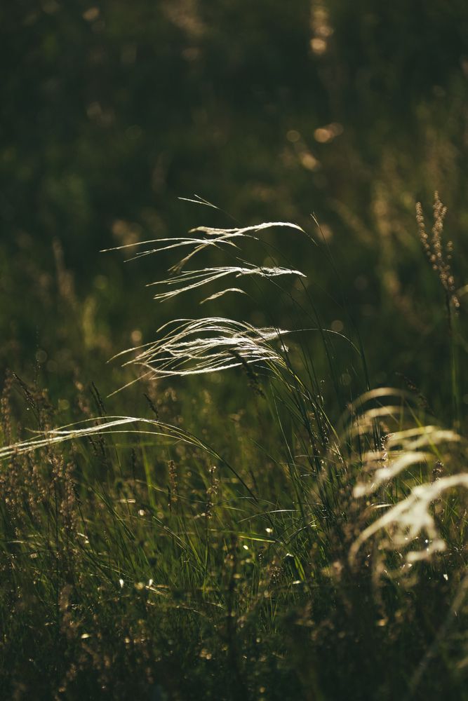 Photograph by Алексей Болотов