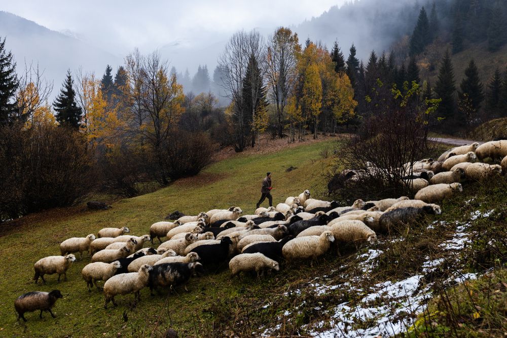 Photograph by ercan eraslan