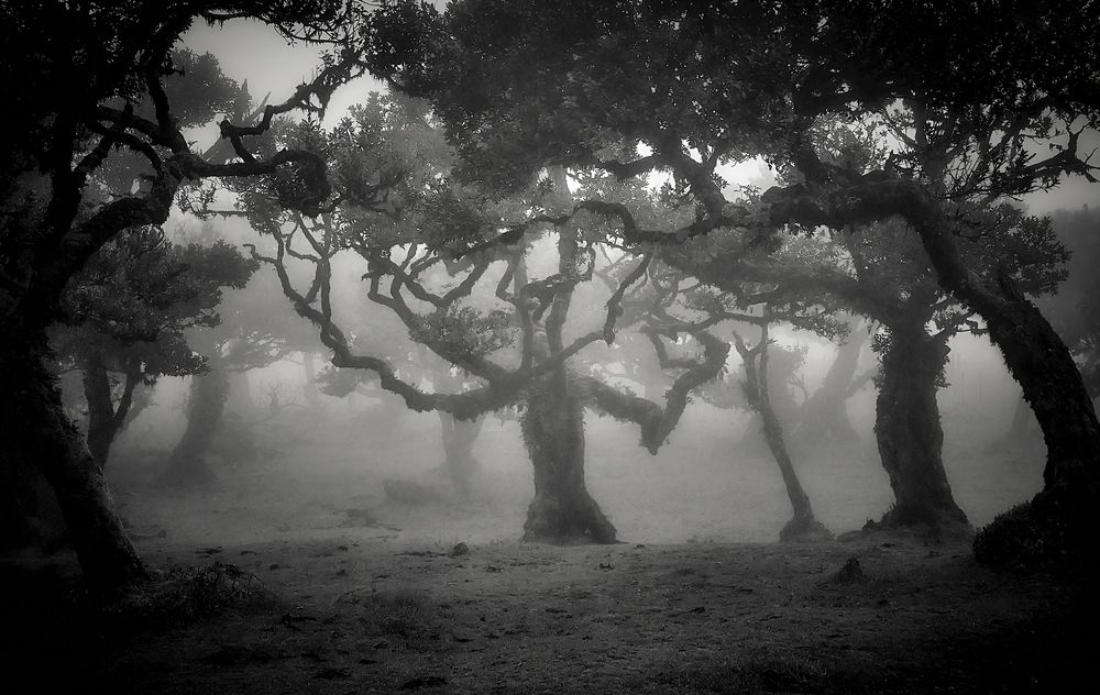 Photograph by Boris Bekelman