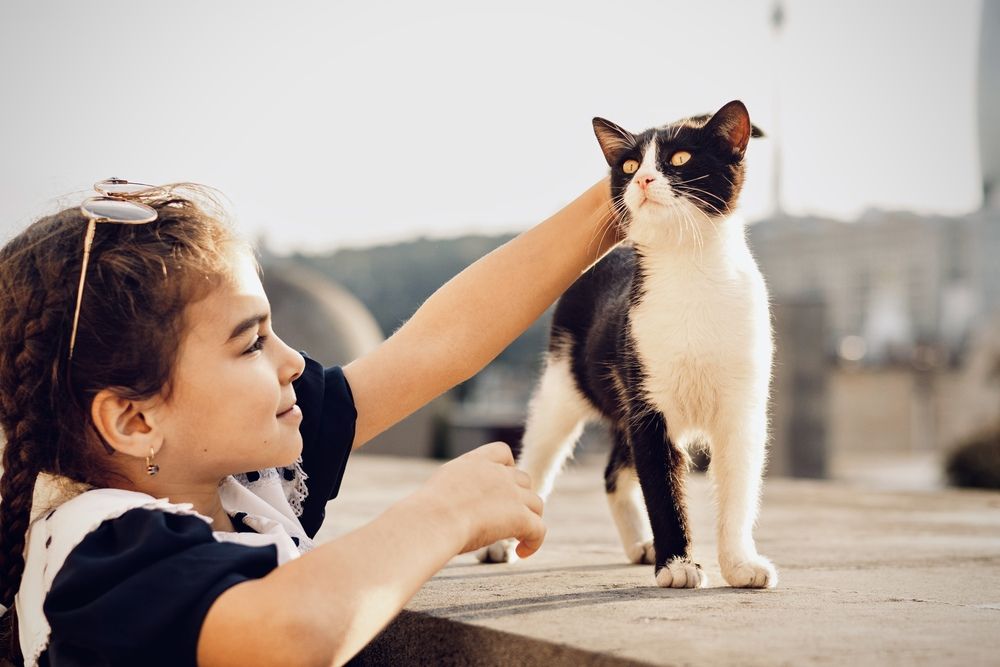 Photograph by Алина Сухова