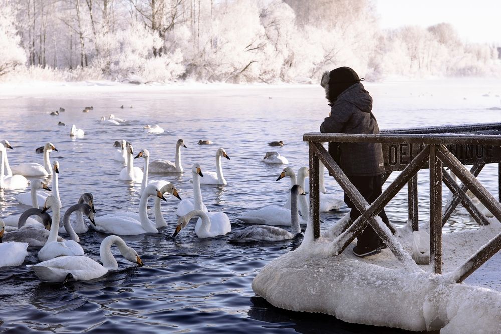 Photograph by Алина Сухова