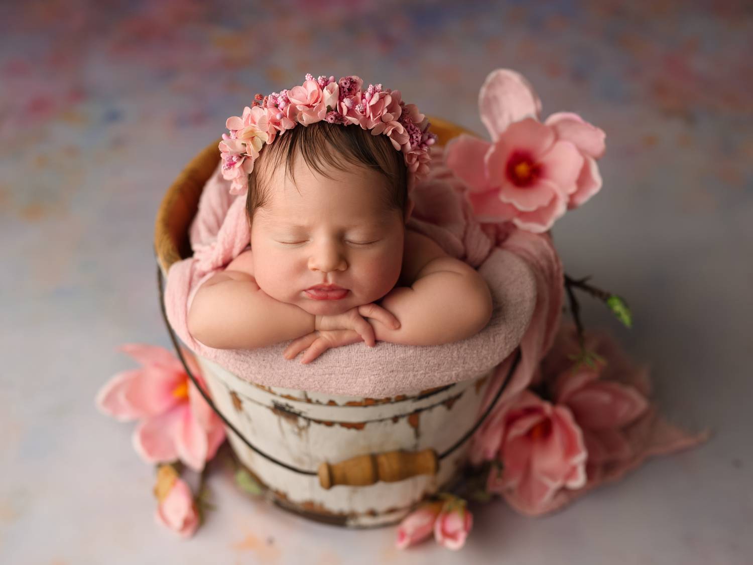 Фотография #13319717