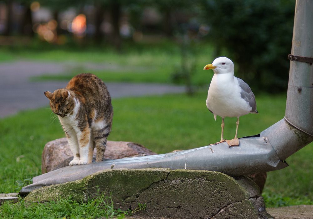 Photograph by Yevgen Poltorakov