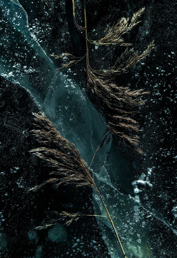 Photograph by Евгений Колтунов