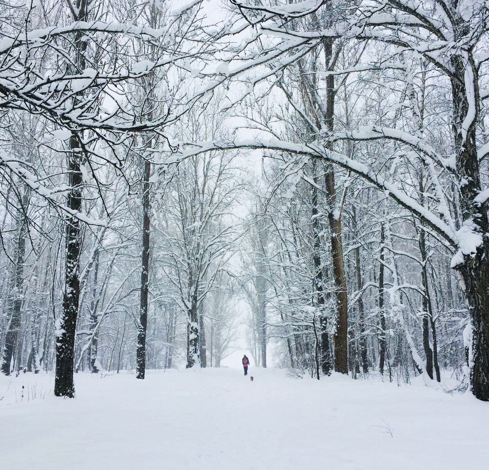 Photograph by Yasar Sudar